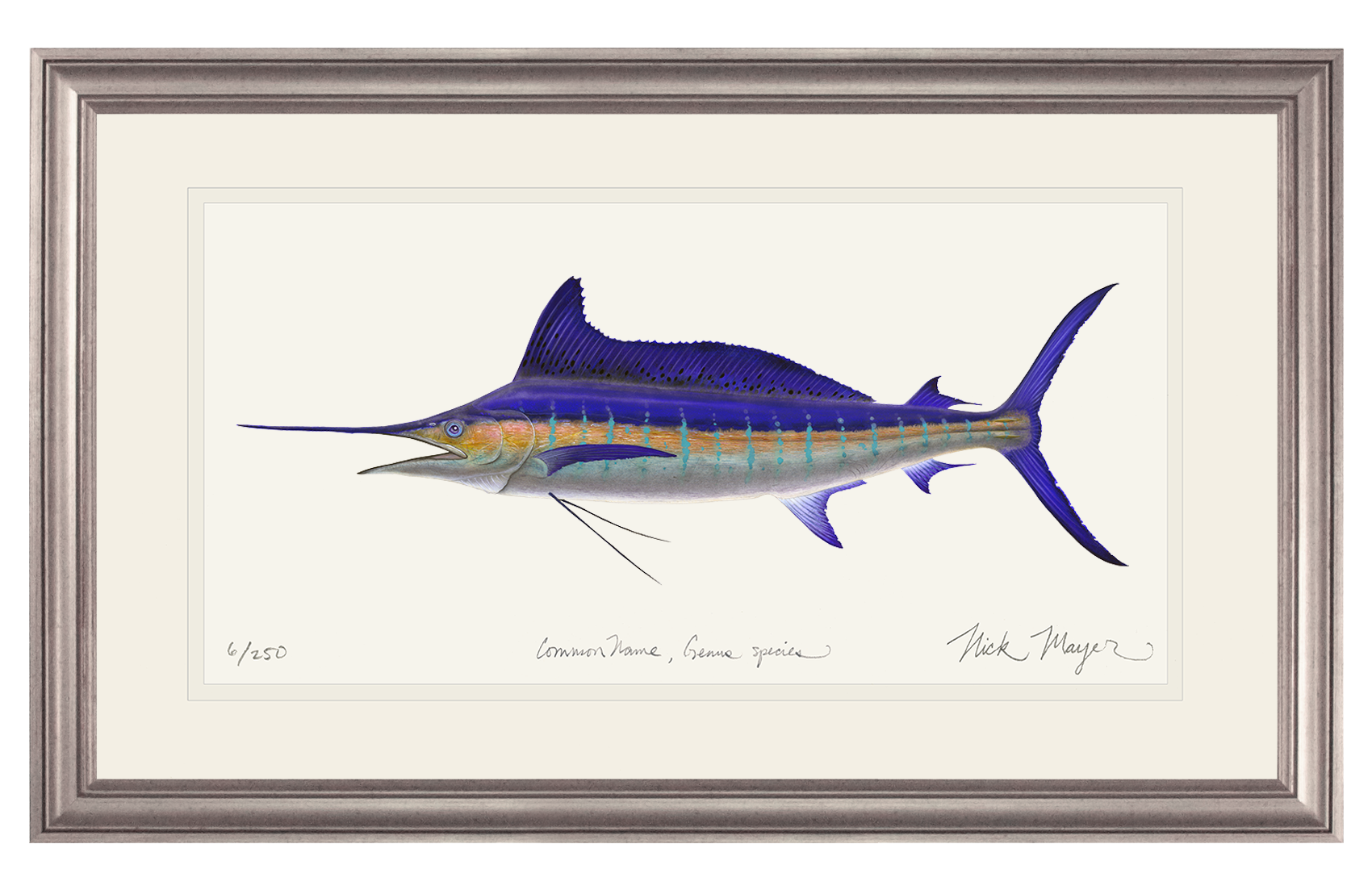 Striped Marlin Limited Edition Print