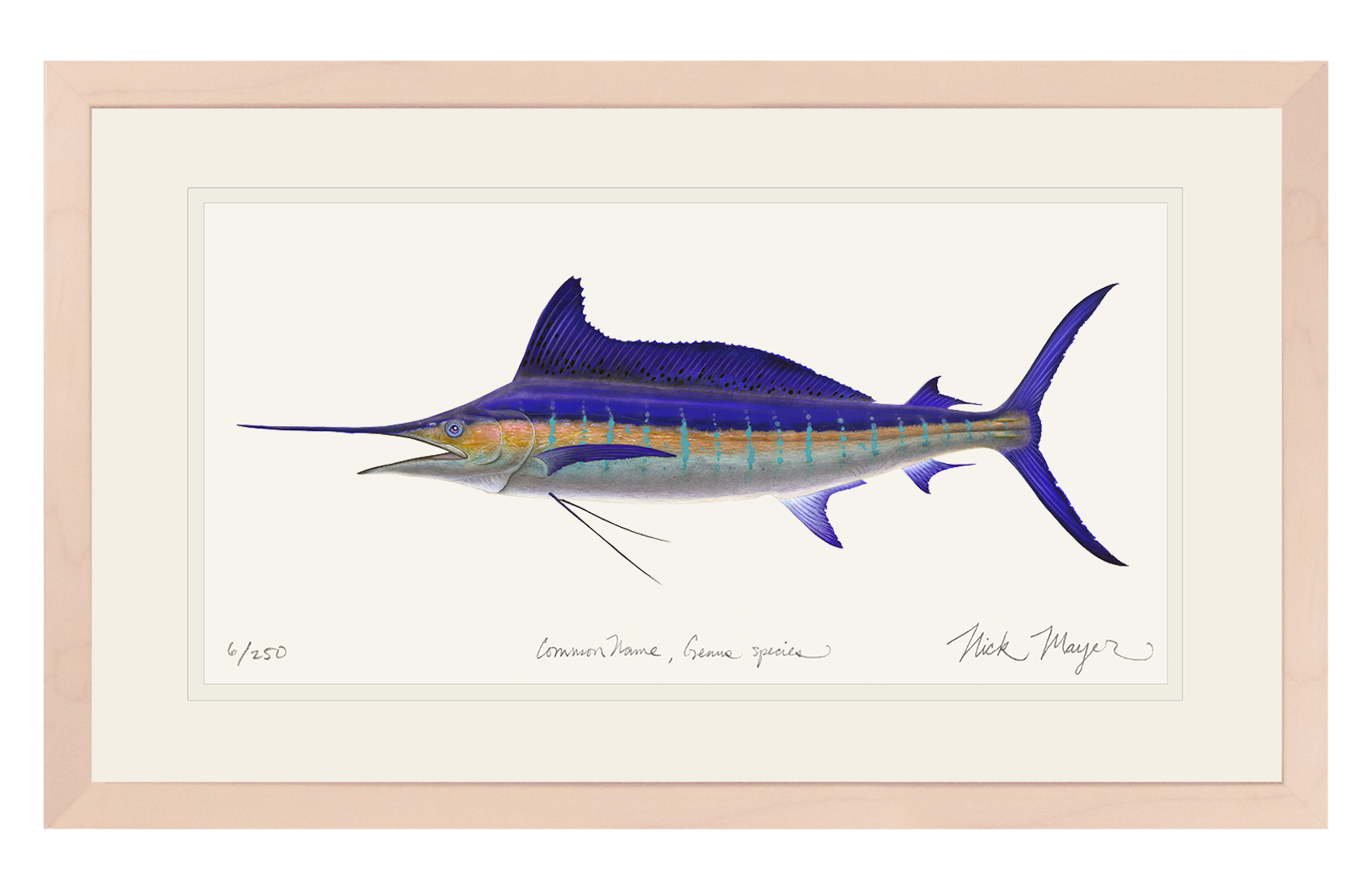 Striped Marlin Limited Edition Print