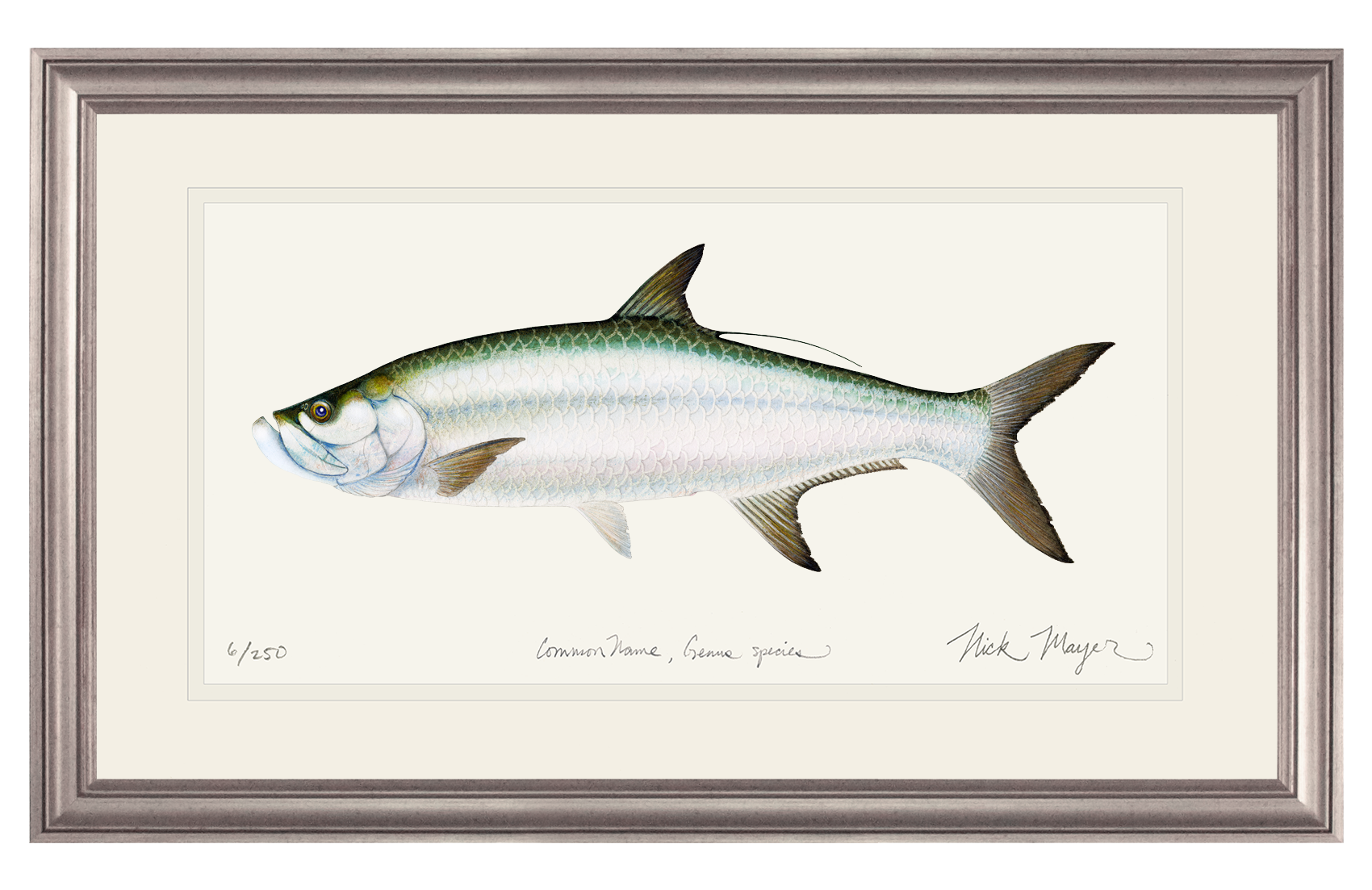 Tarpon Print