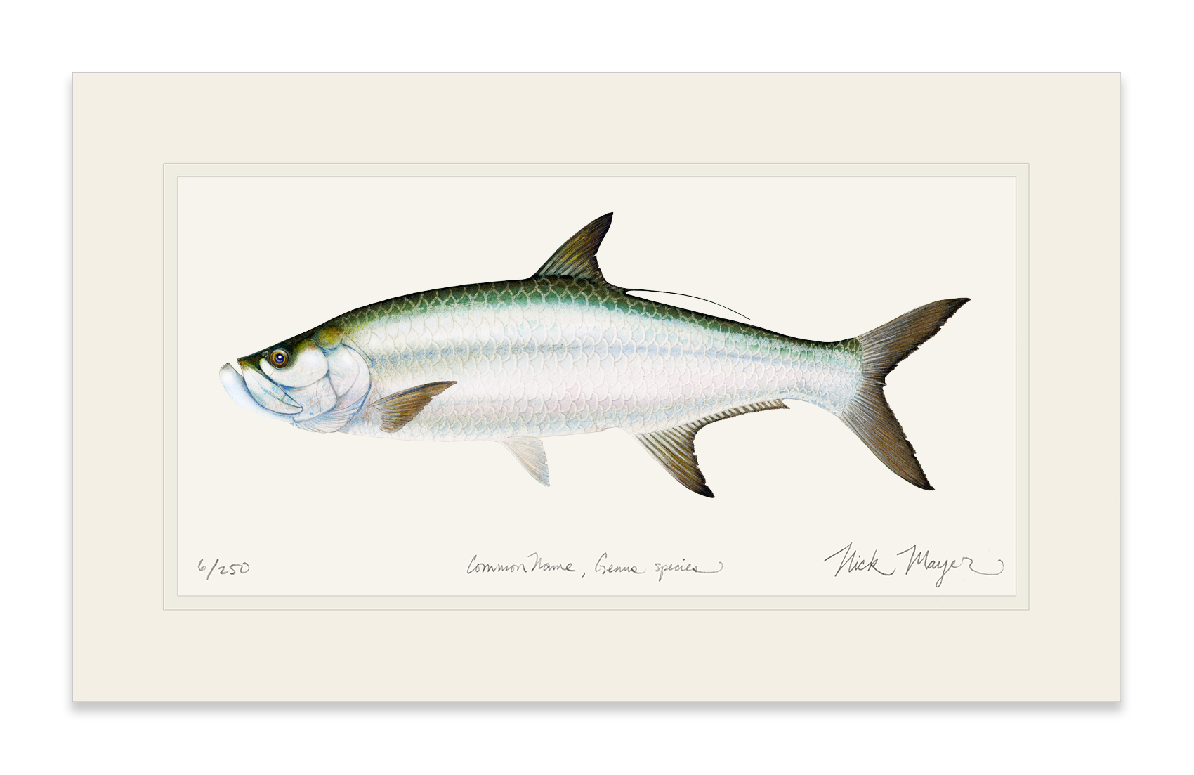 Tarpon Print