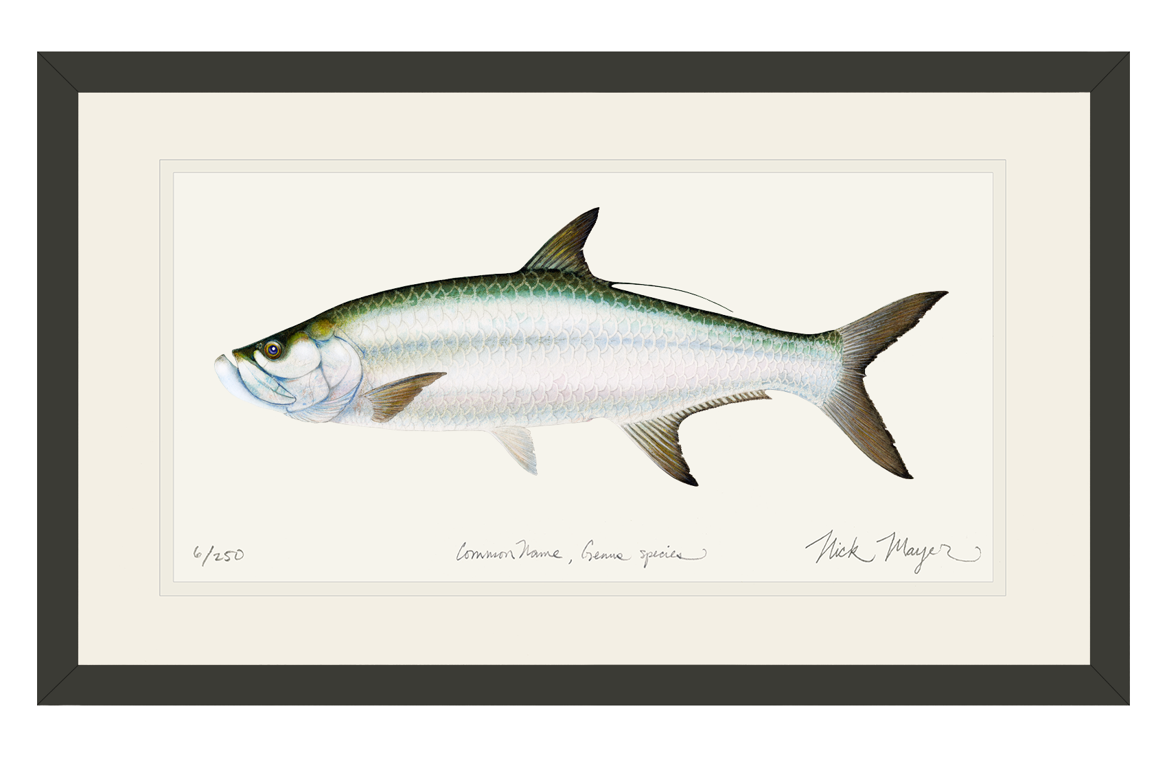 Tarpon Original Watercolor Painting