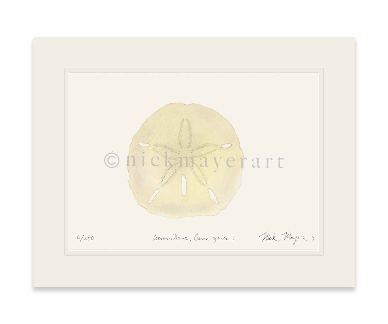 watermark