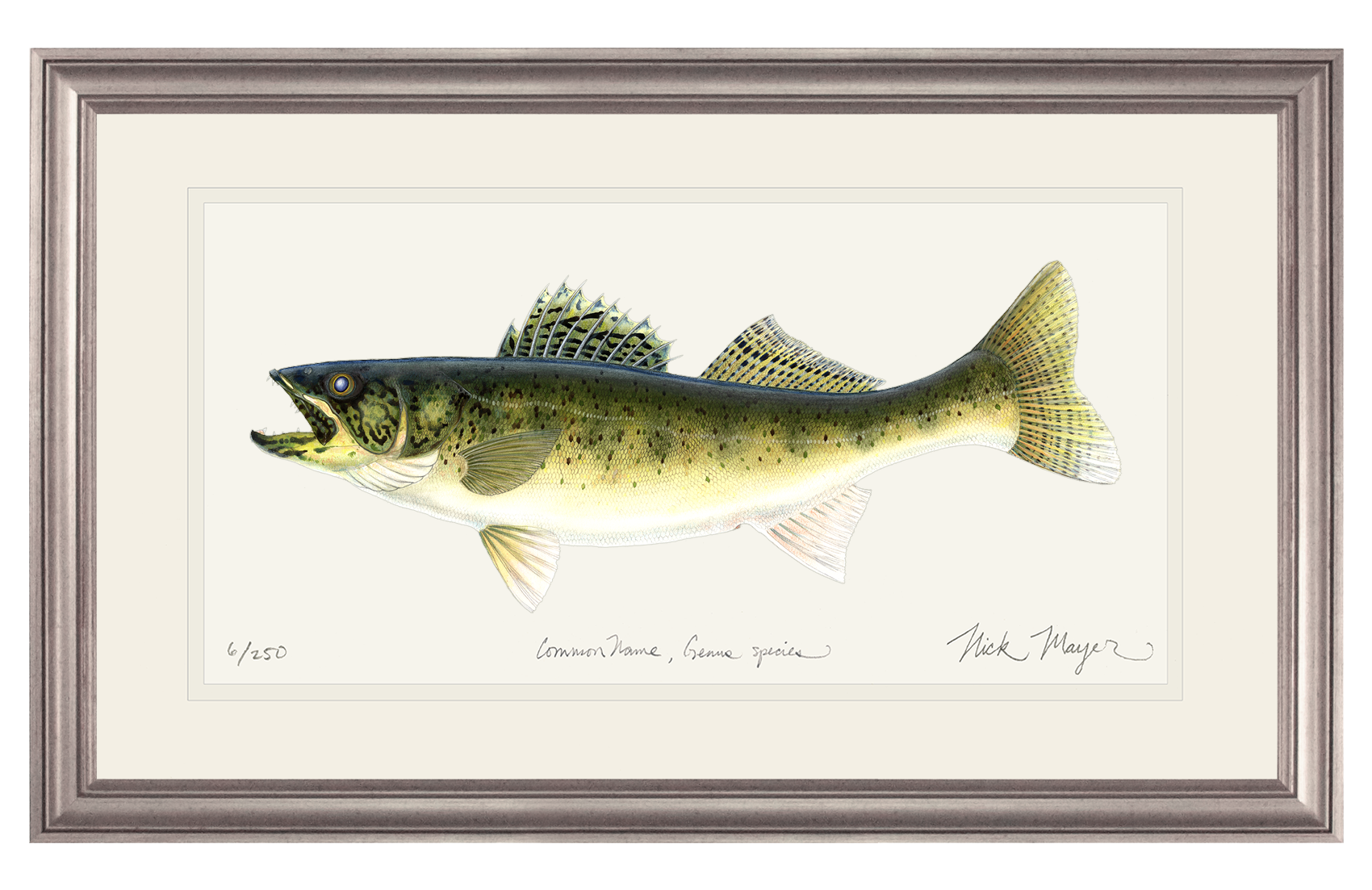 Walleye Print