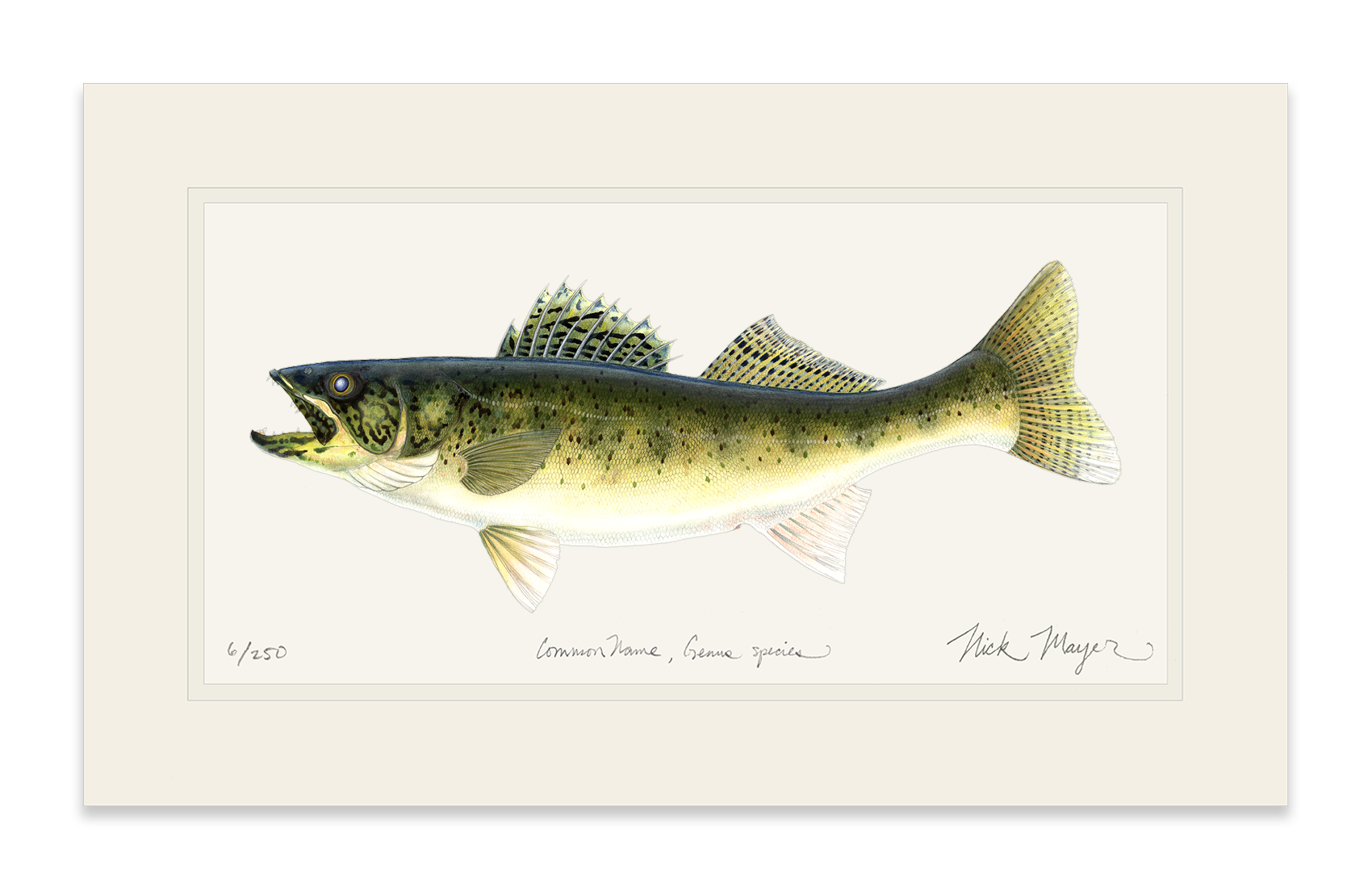 Walleye Print