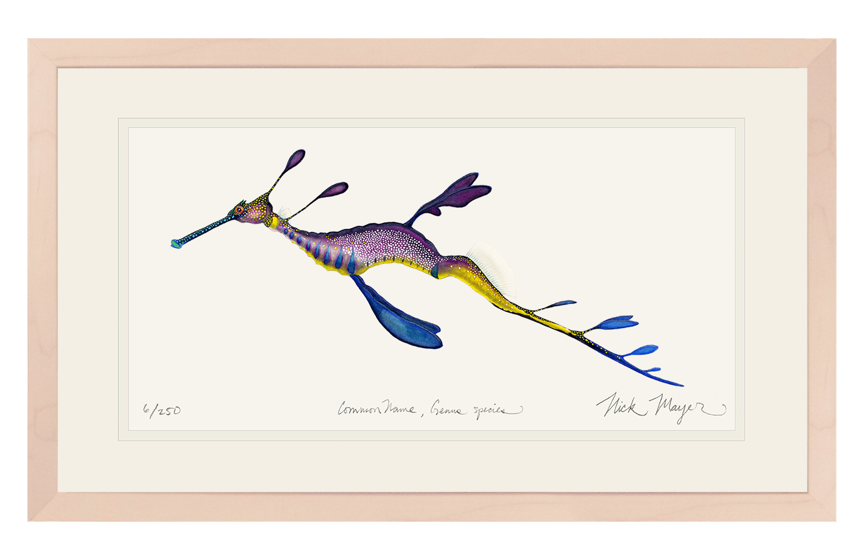 Weedy Seadragon Limited Edition Print