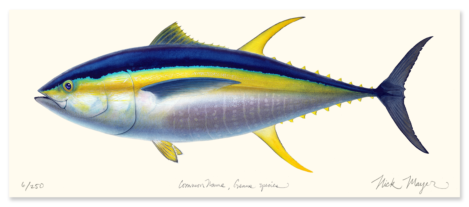 Limited Edition Yellowfin Tuna Masterwork Canvas