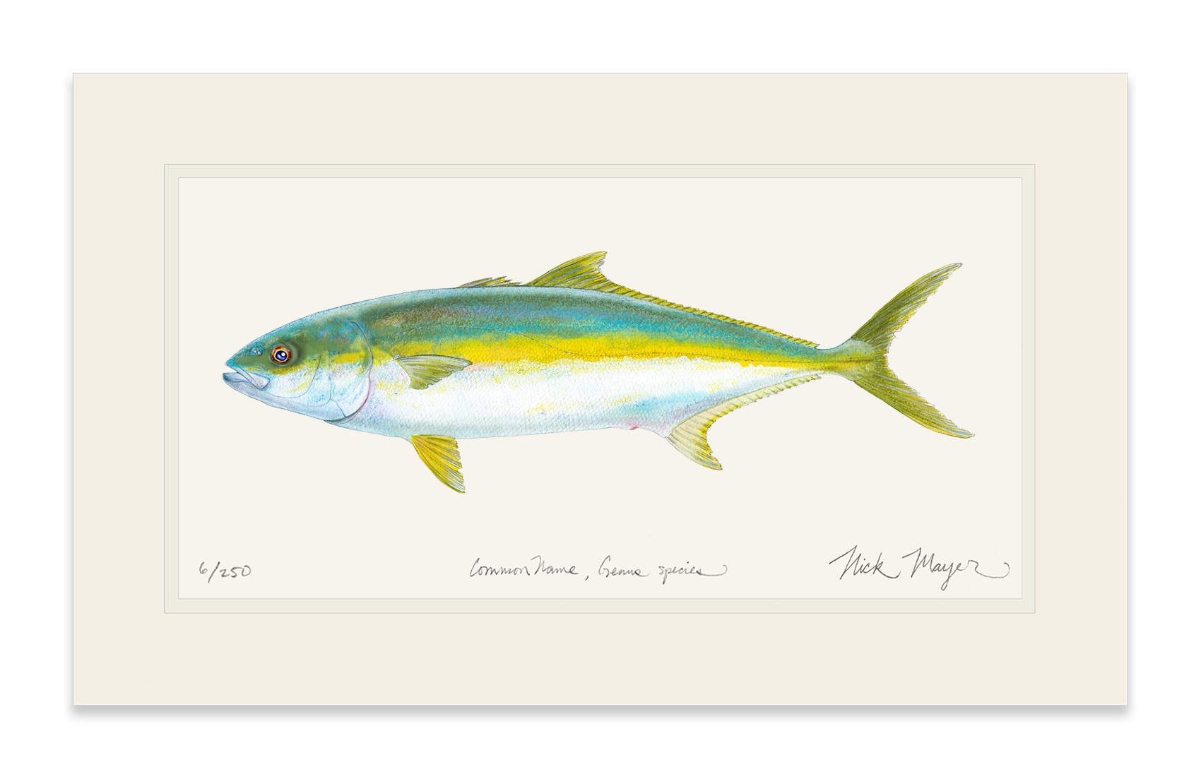 California Yellowtail I Limited Edition Print