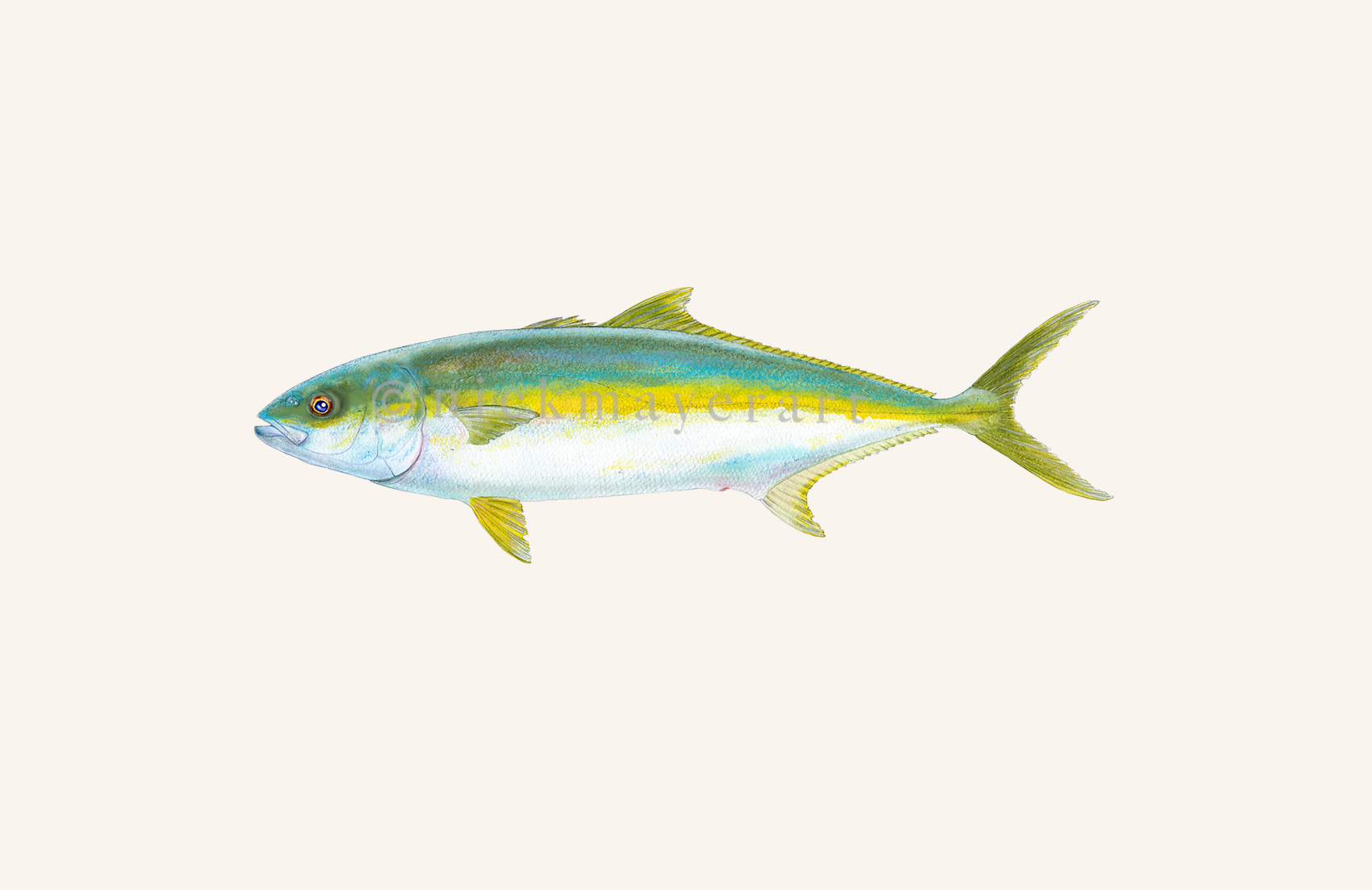 watermark