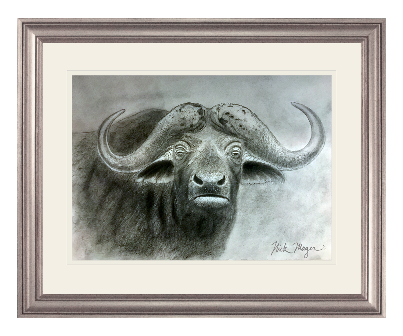 Cape Buffalo Print