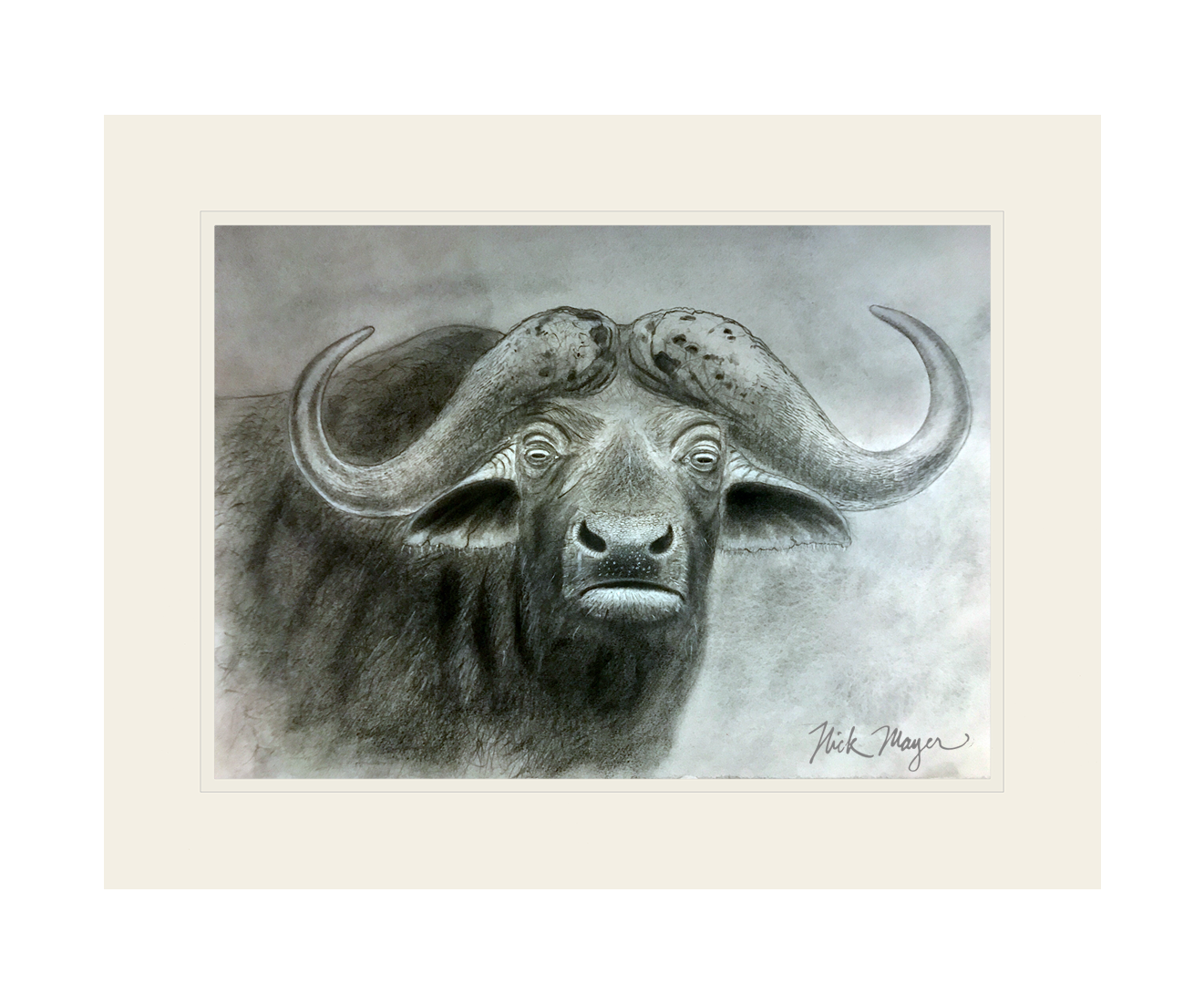 Cape Buffalo Print