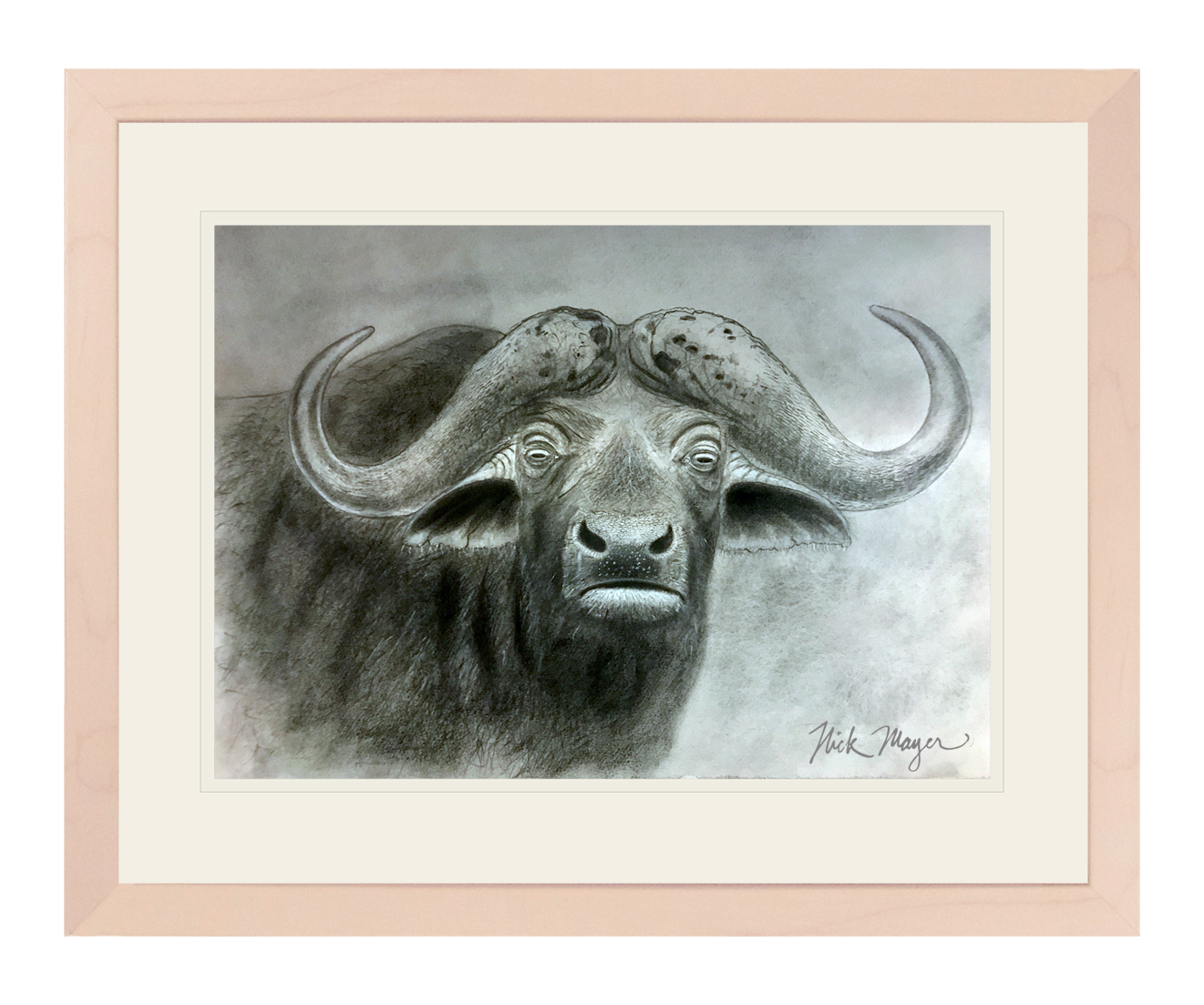 Cape Buffalo Print