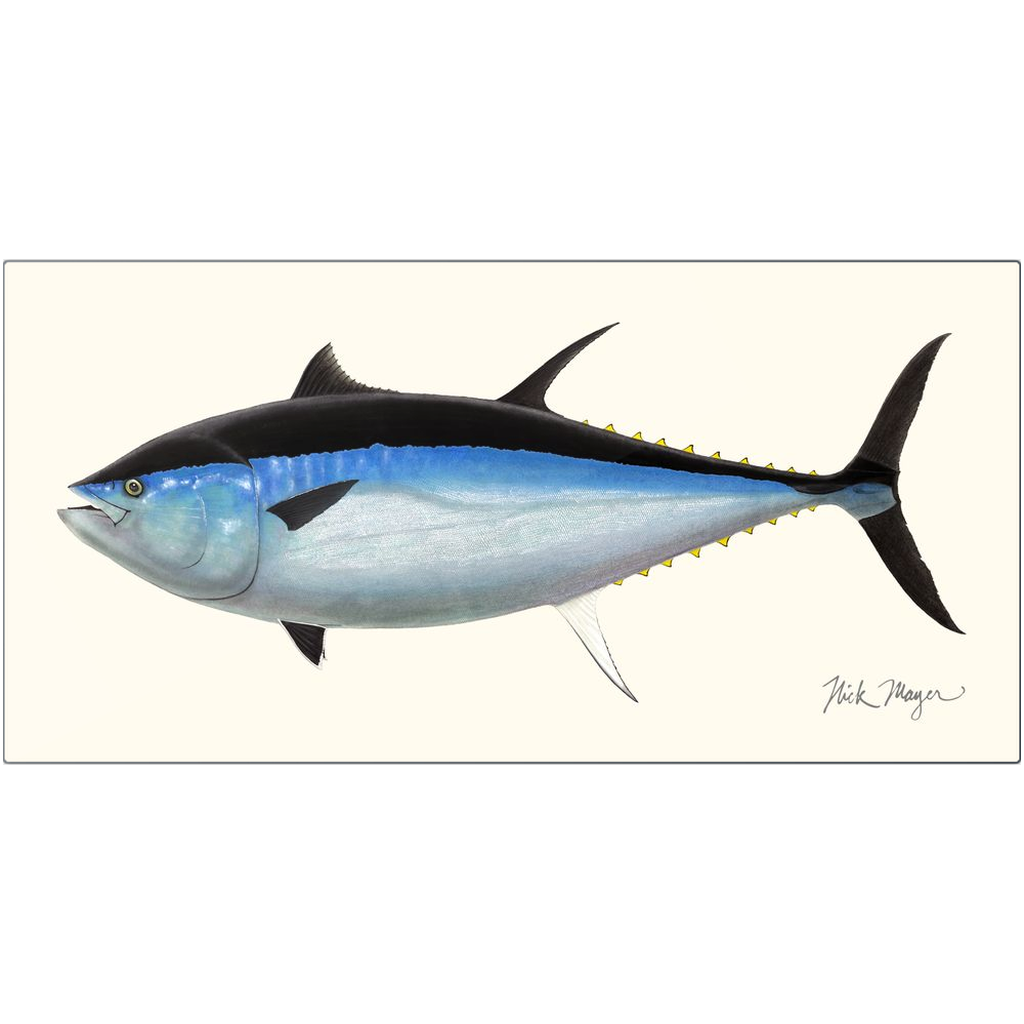 Giant Bluefin Tuna 3 Metal Print - A Rare & Ocean Beauty