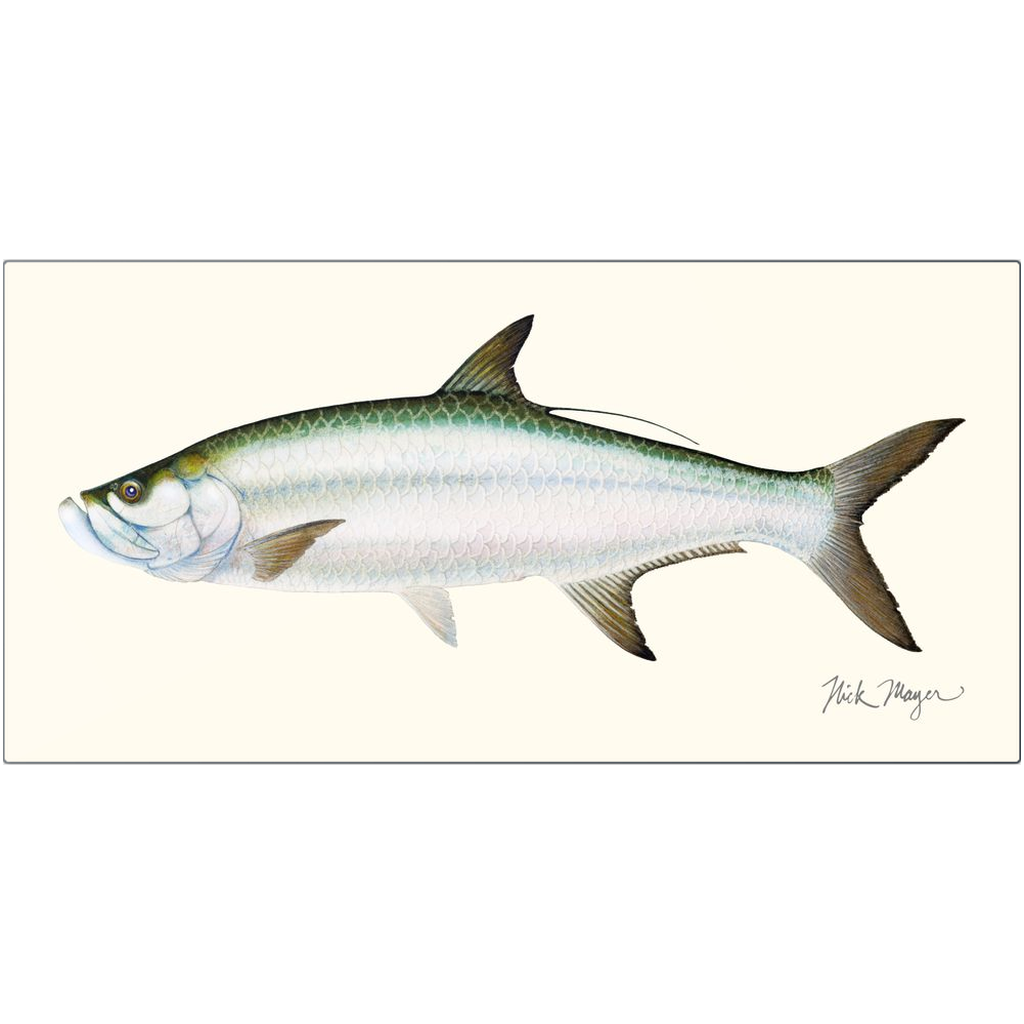 Tarpon Metal Print, NEW!