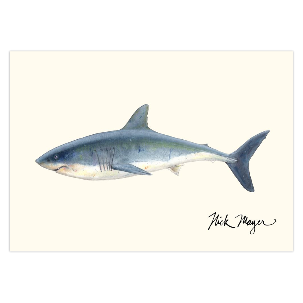 Great White Shark Notecards