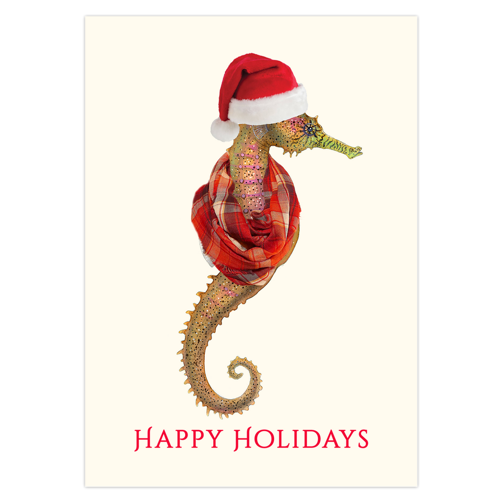 Estuary Elf Holiday Cards