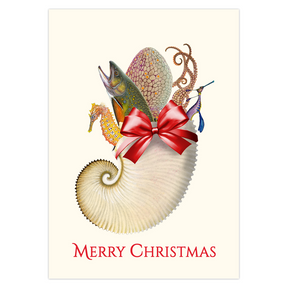 Sea Stocking Christmas Cards