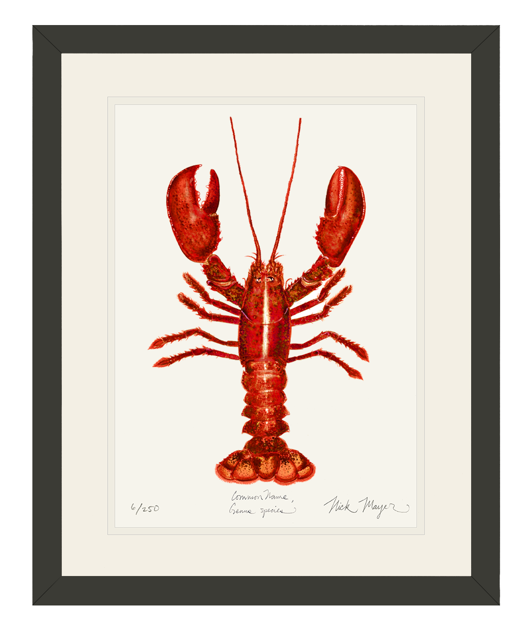 Red Lobster Limited Edition Print