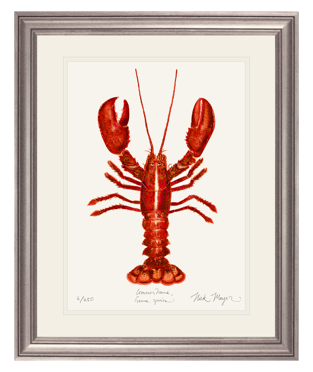 Red Lobster Limited Edition Print
