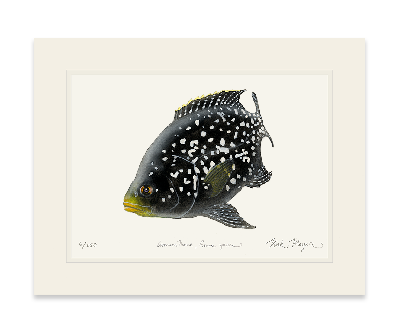 Starry Night Cichlid 2 unframed