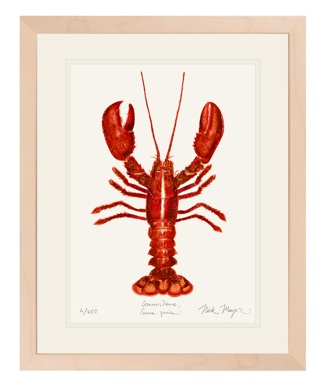 Red Lobster Limited Edition Print