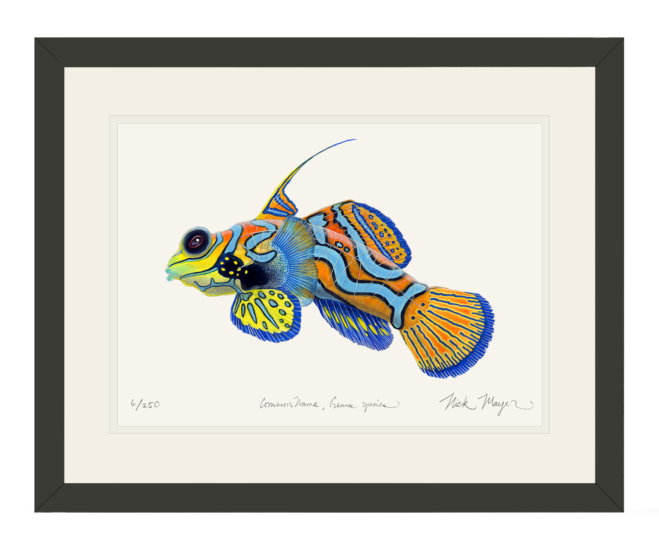 Mandarinfish Original Watercolor Painting