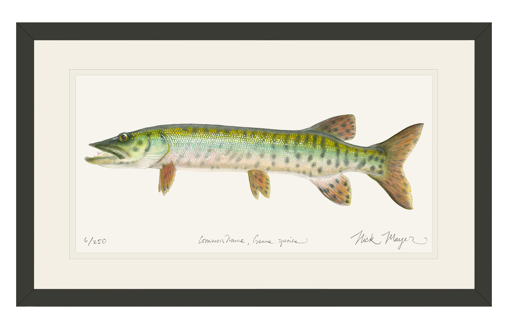 Baby Muskie Print