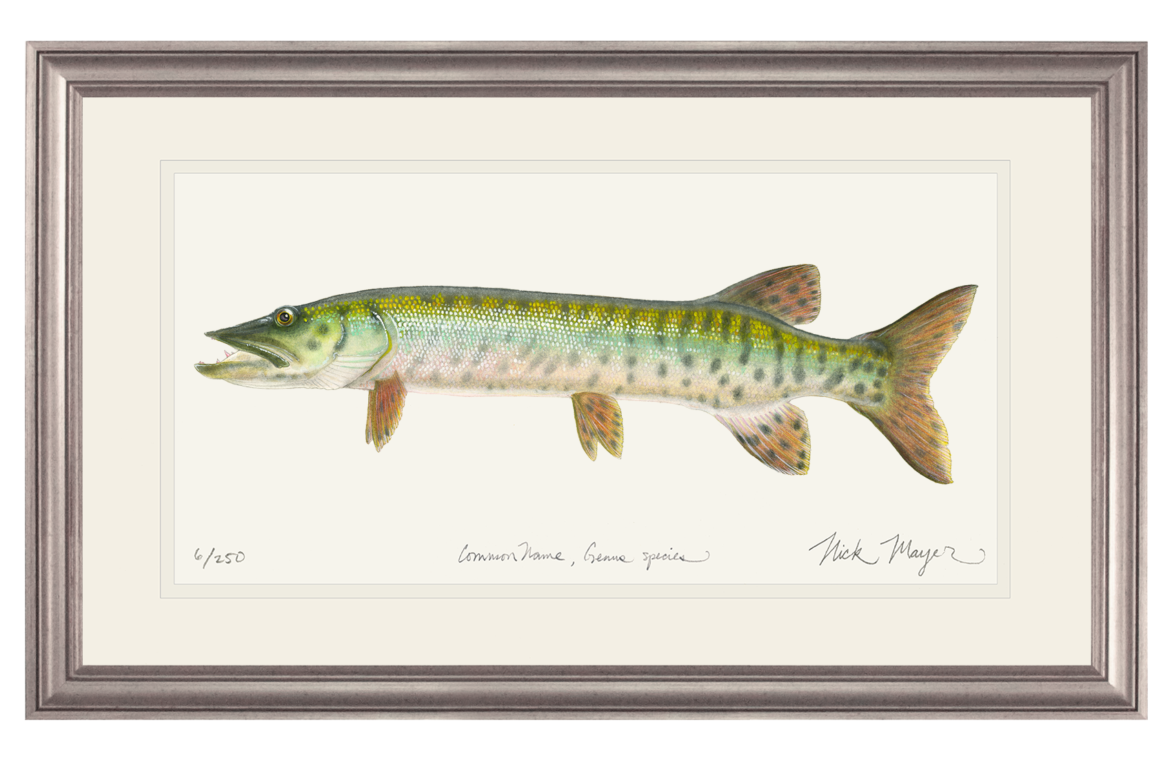 Baby Muskie Limited Edition Print