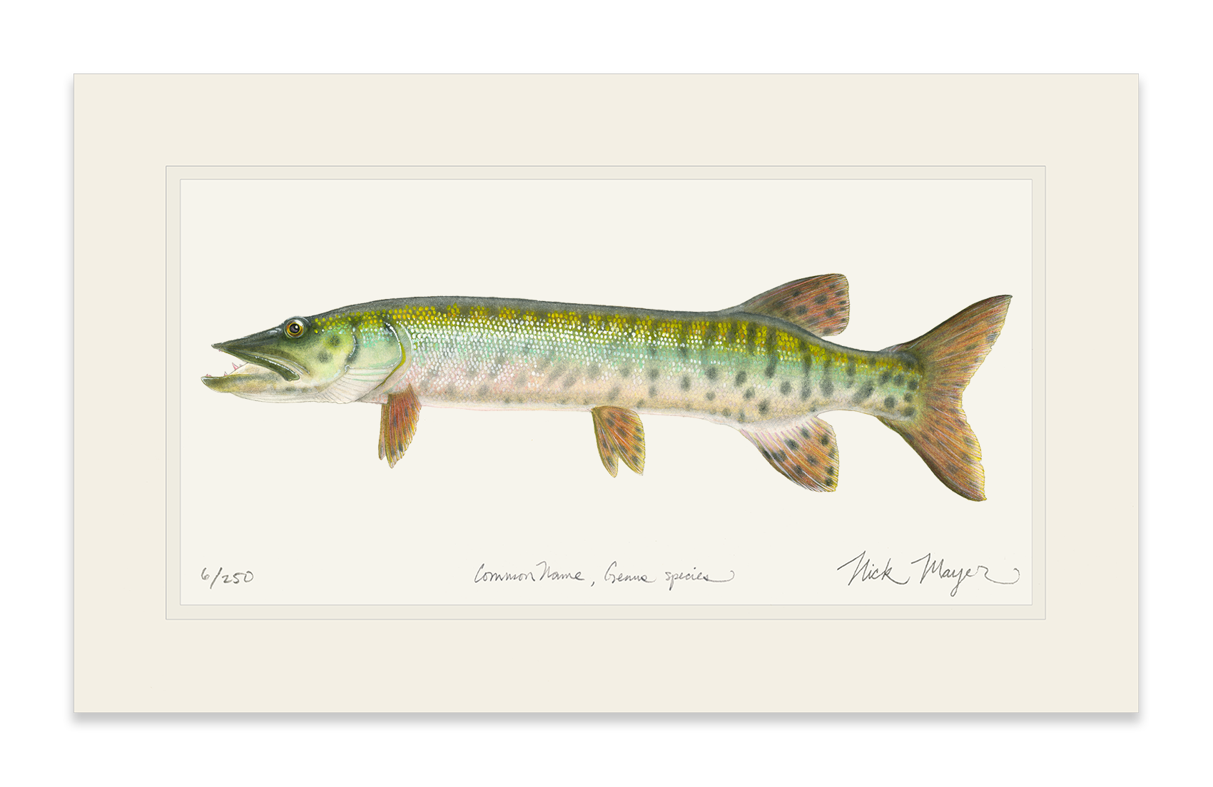 Baby Muskie Limited Edition Print