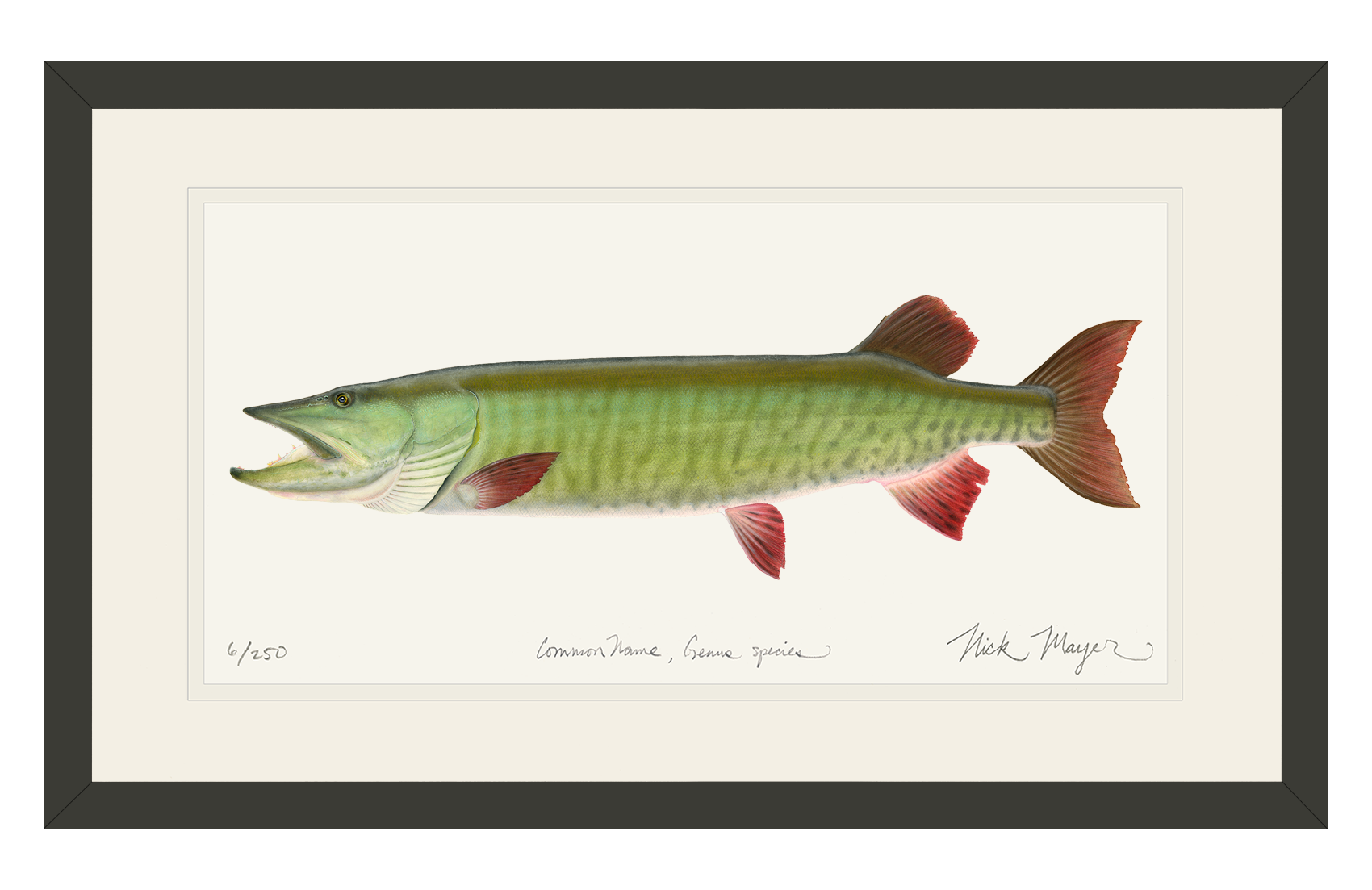 Trophy Muskie Limited Edition Print