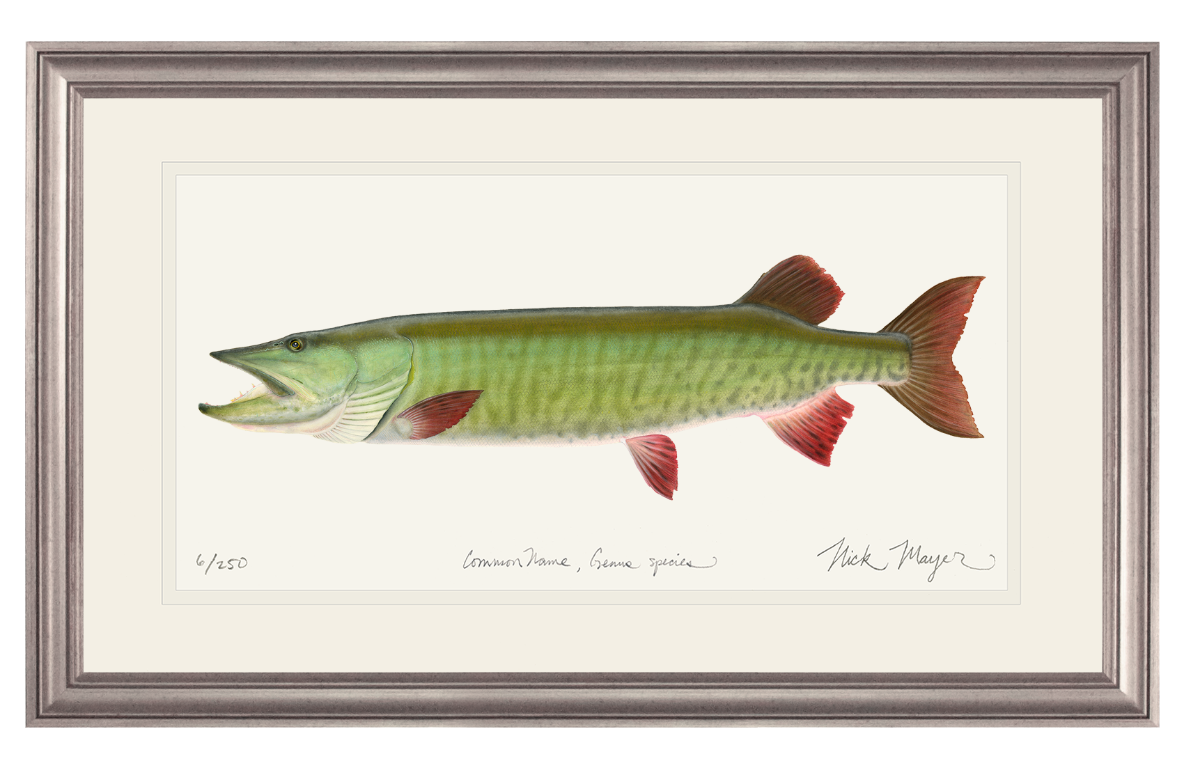 Trophy Muskie Limited Edition Print
