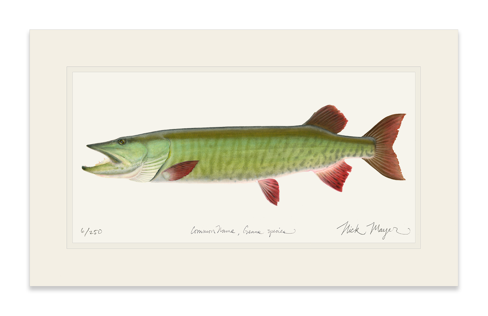 Trophy Muskie Limited Edition Print