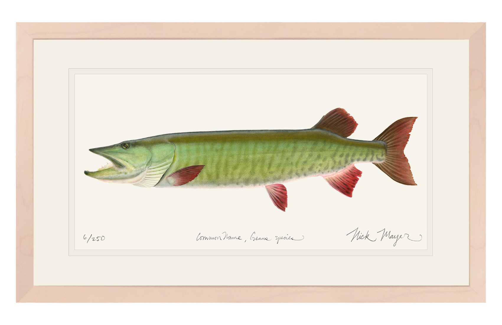 Trophy Muskie Limited Edition Print