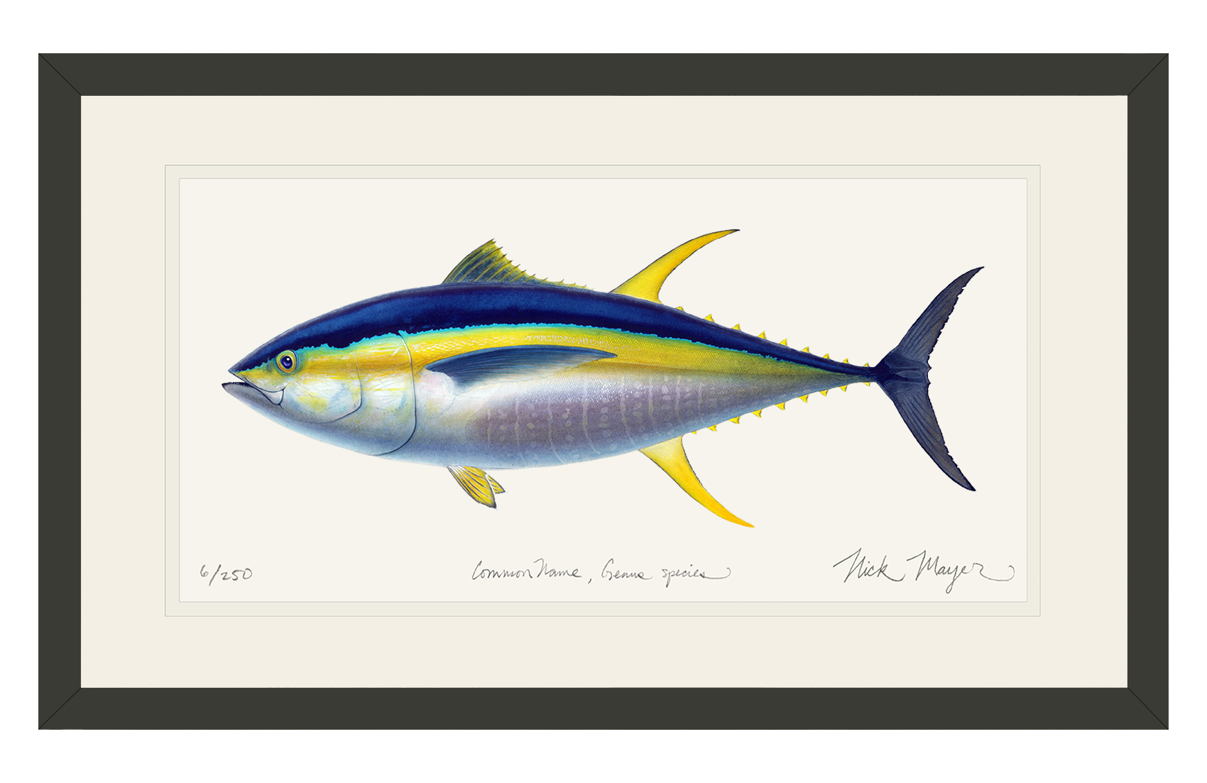 Yellowfin Tuna Limited Edition Print - Best Seller