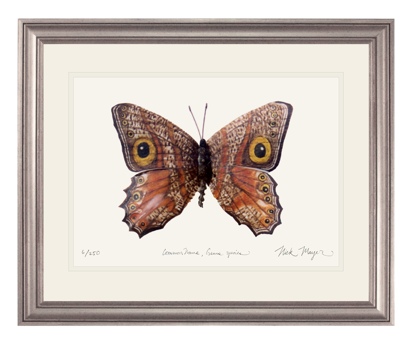 Owl Butterfly II Print