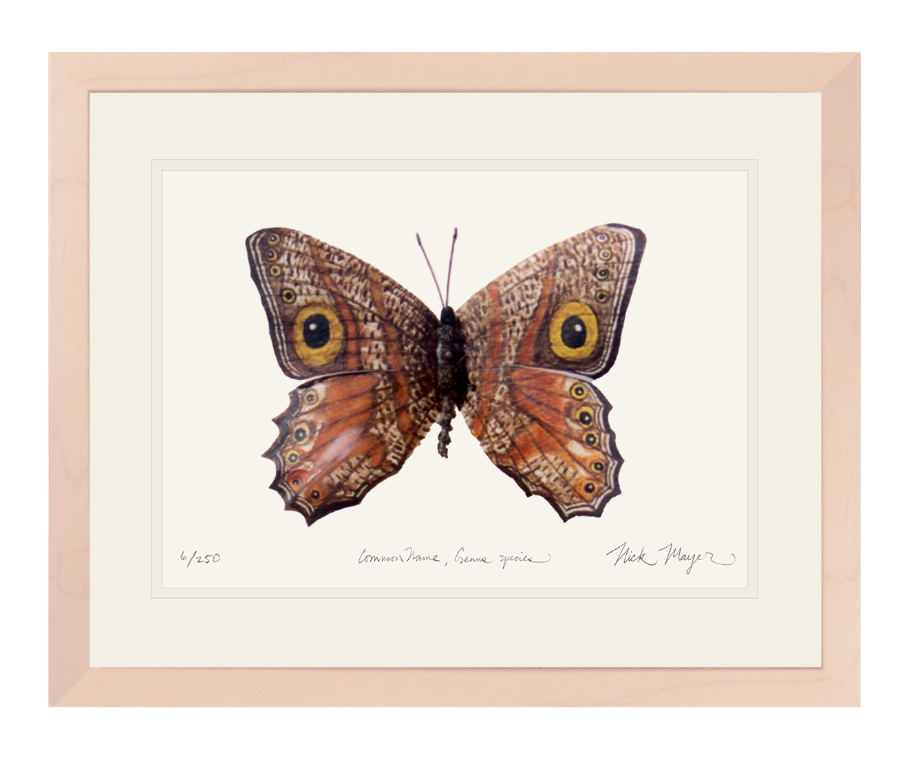 Owl Butterfly II Print
