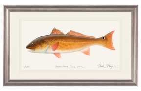 Redfish, 15 lbs. Print