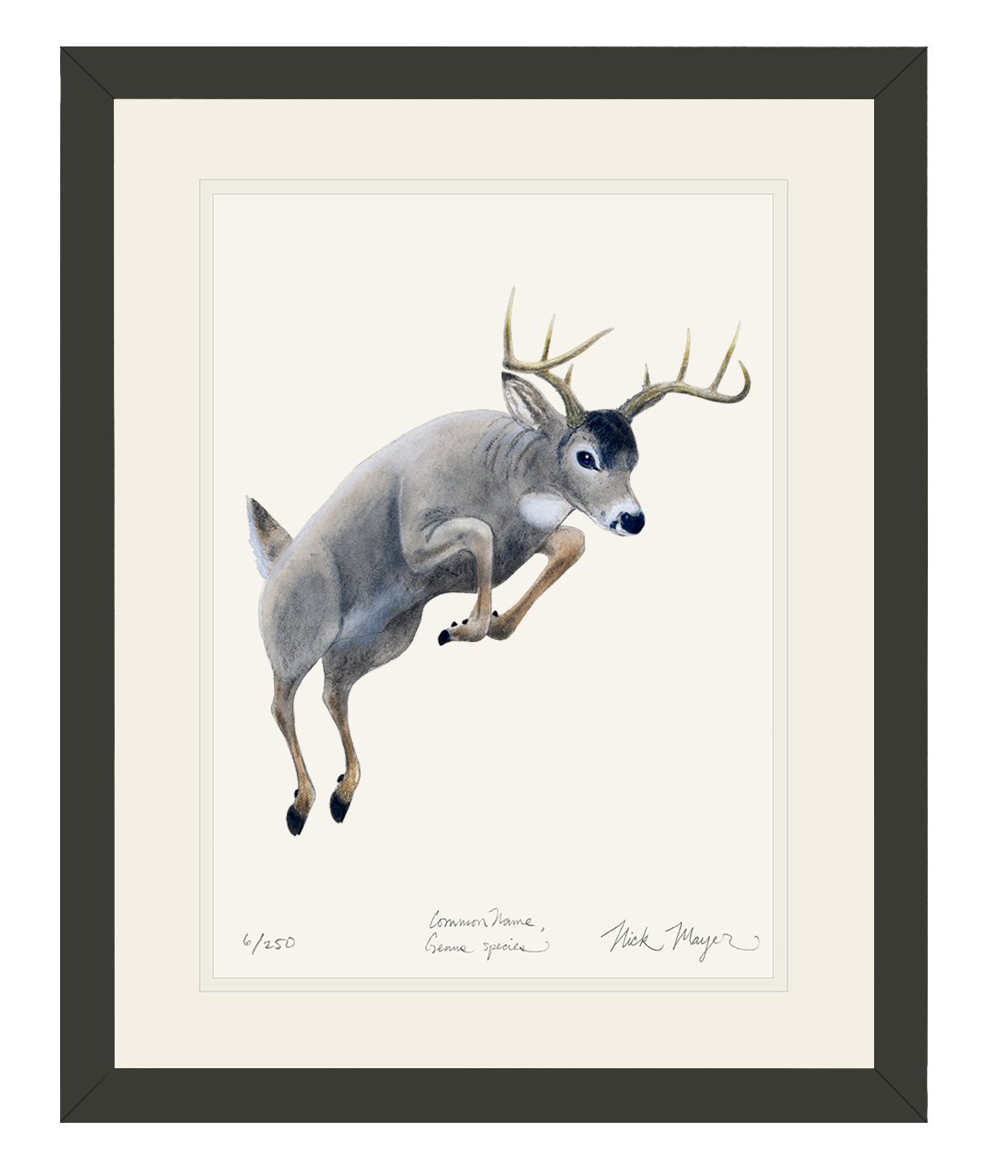 Bring the Beauty of Nature to Your Home with a Whitetail Buck Print