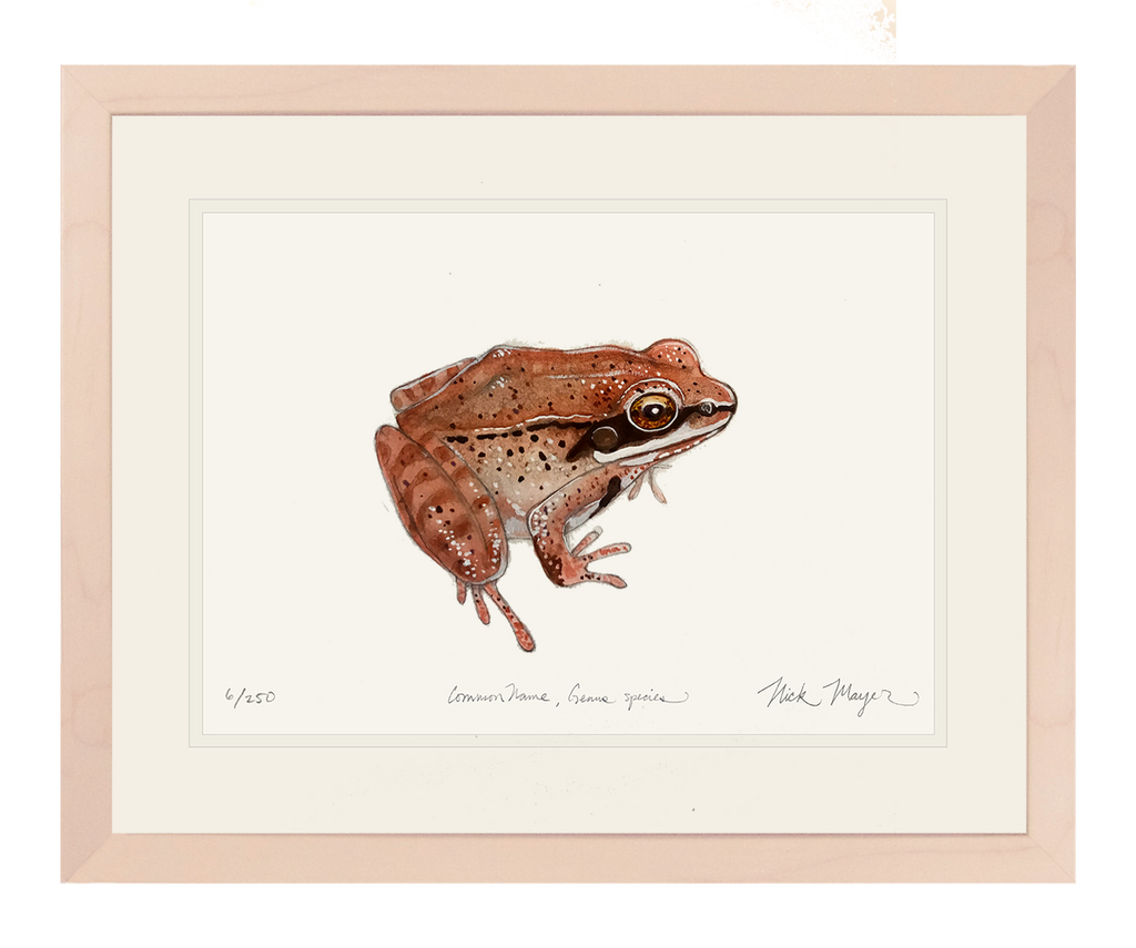 wood-frog-art-print-