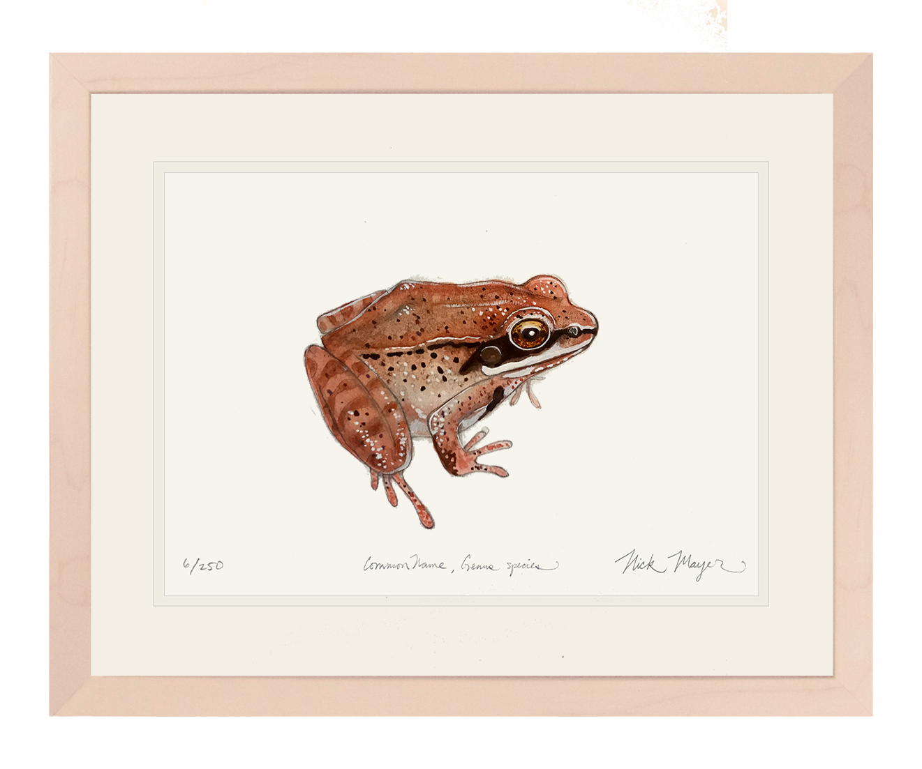 NEW! Wood Frog Original Watercolor Painting