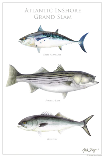 Atlantic Inshore Grand Slam Poster Featured in Holiday Gift Guide