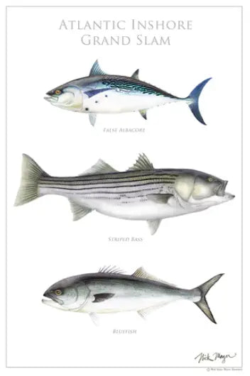 Atlantic Inshore Grand Slam Poster Featured in Holiday Gift Guide