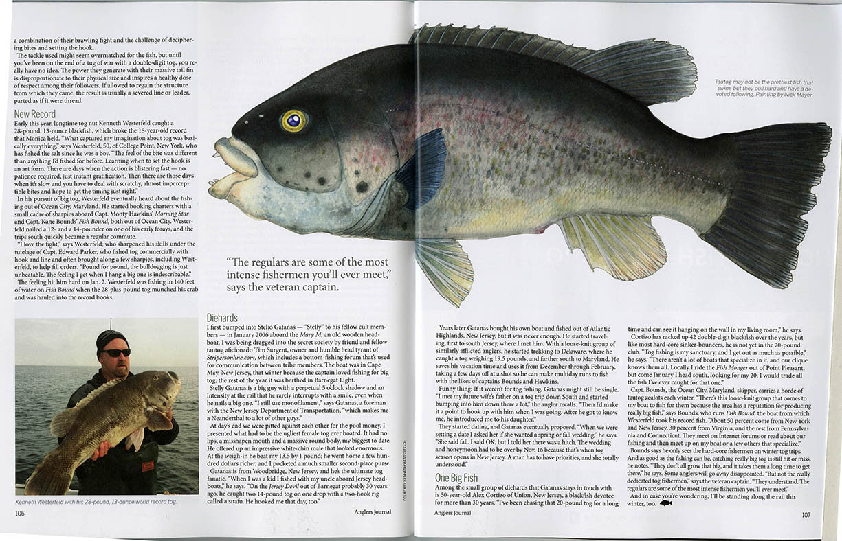 Tautog Painting Featured in Current Issue of Anglers Journal Magazine