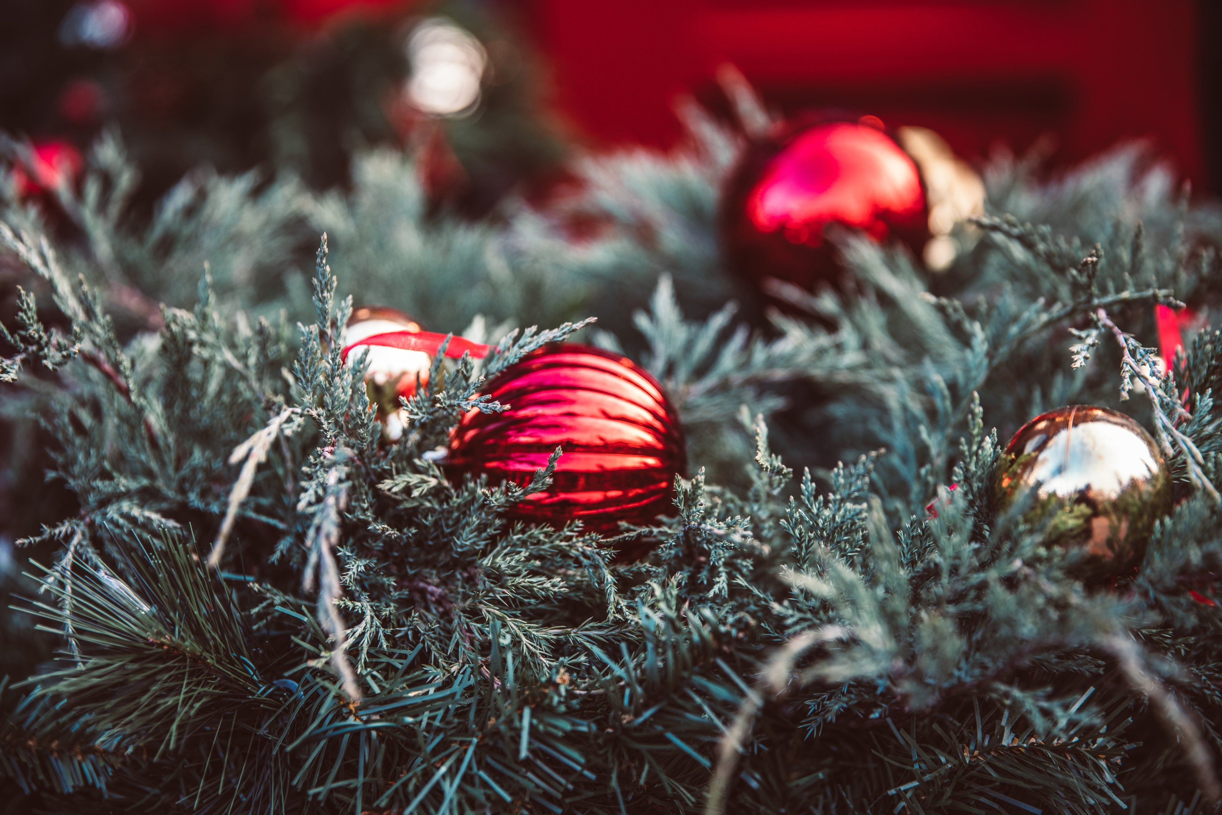 Holiday Prints