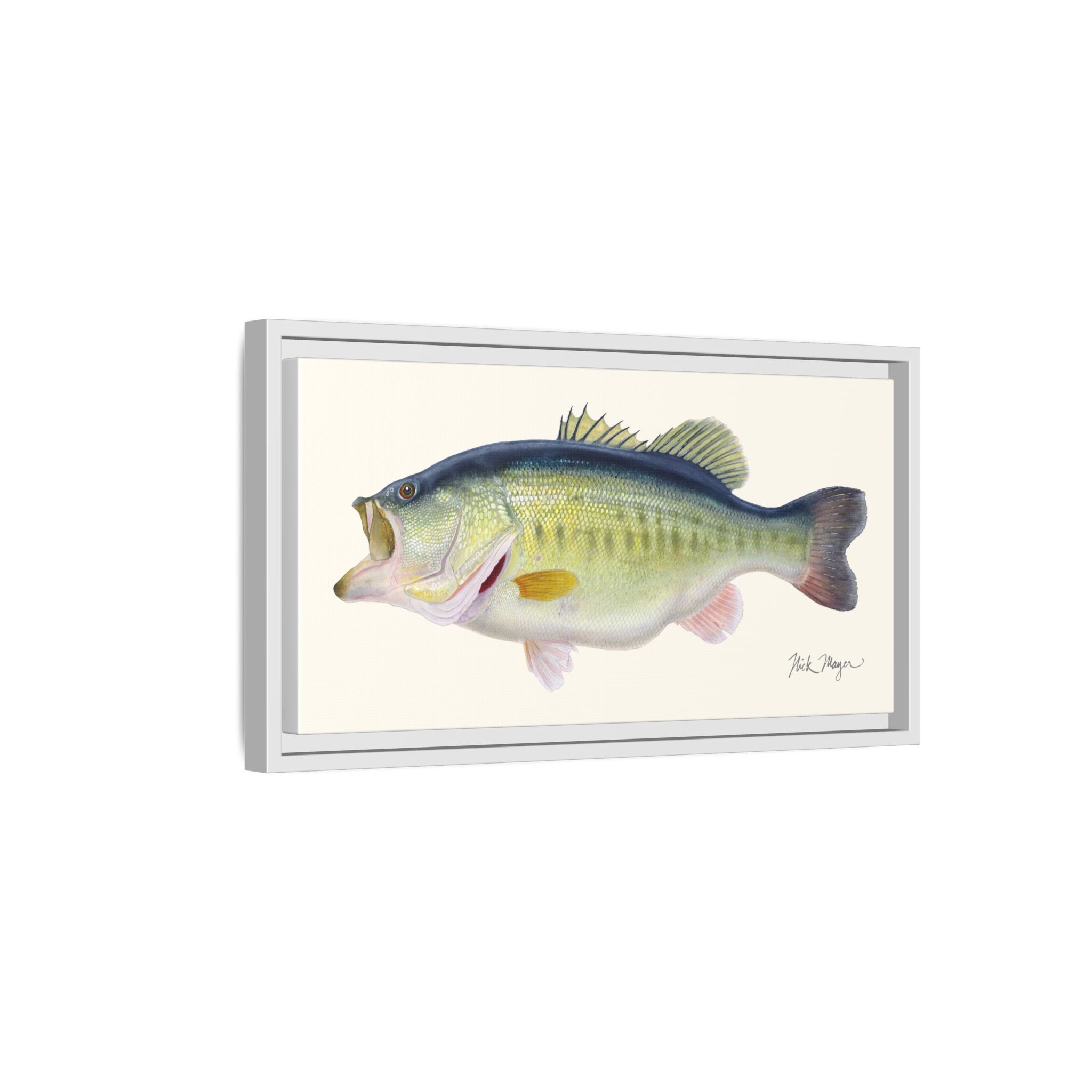 Largemouth Bass 3 Framed Canvas Print