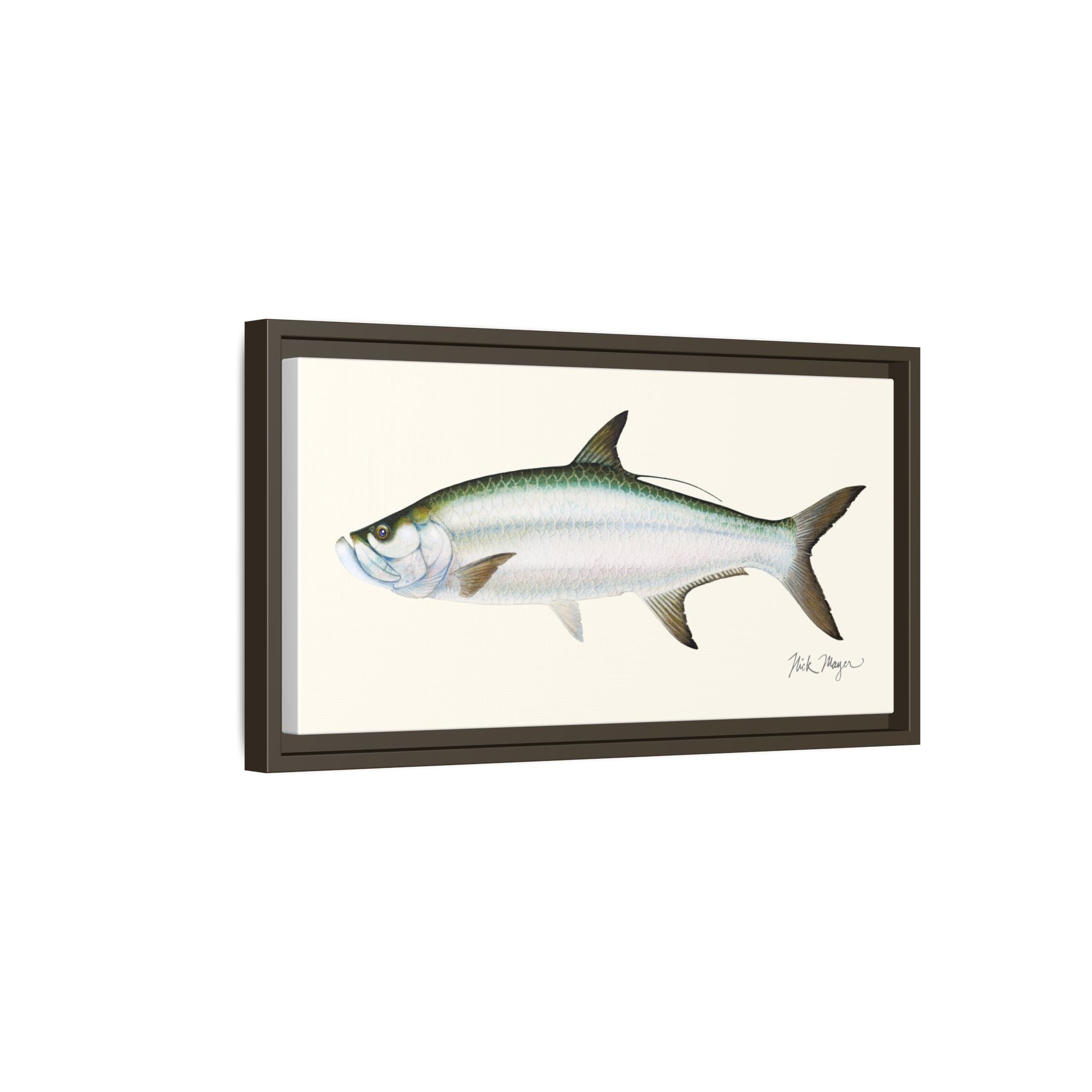 Tarpon Framed Canvas Print Printify
