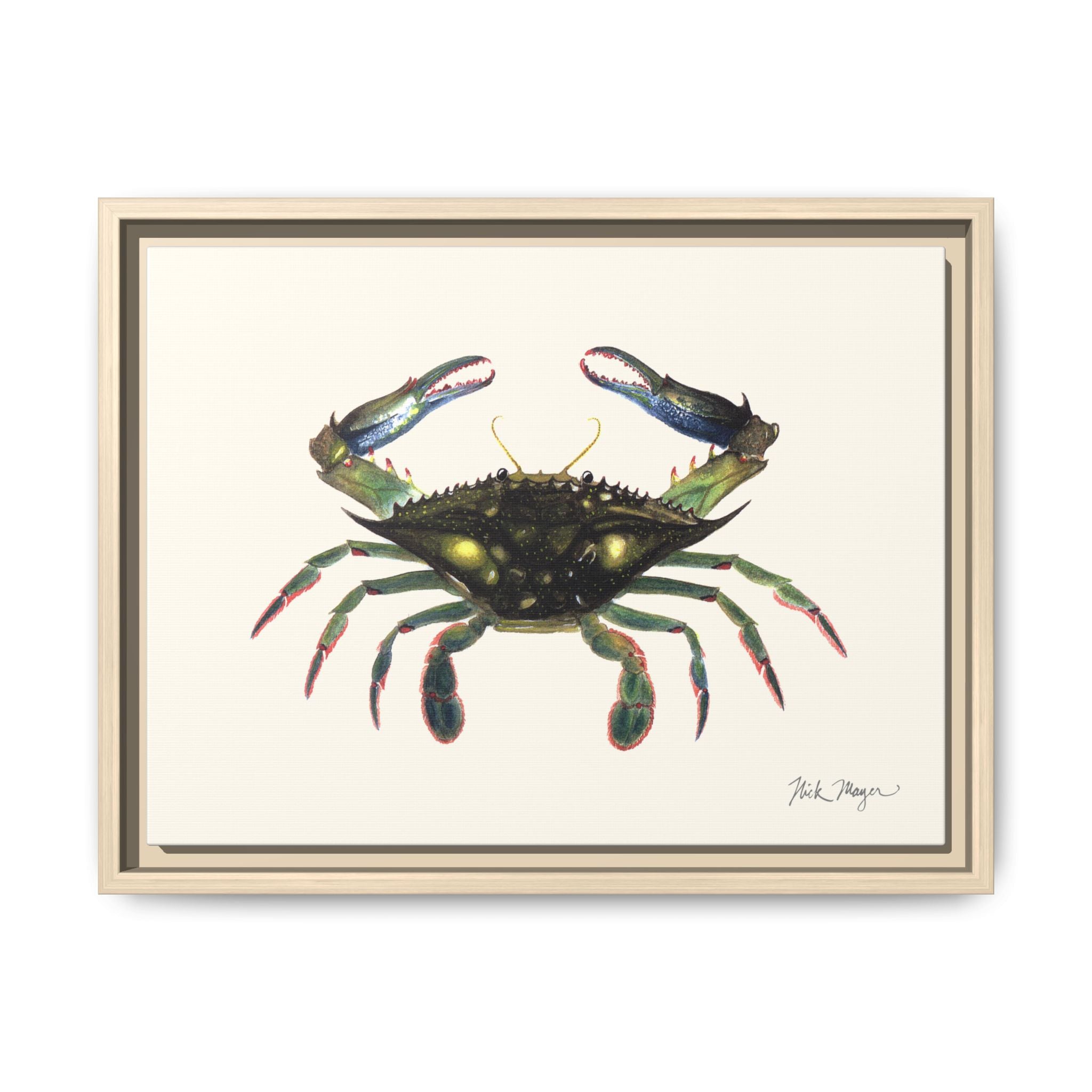 Blue Crab, Claws in Framed Canvas Print Printify