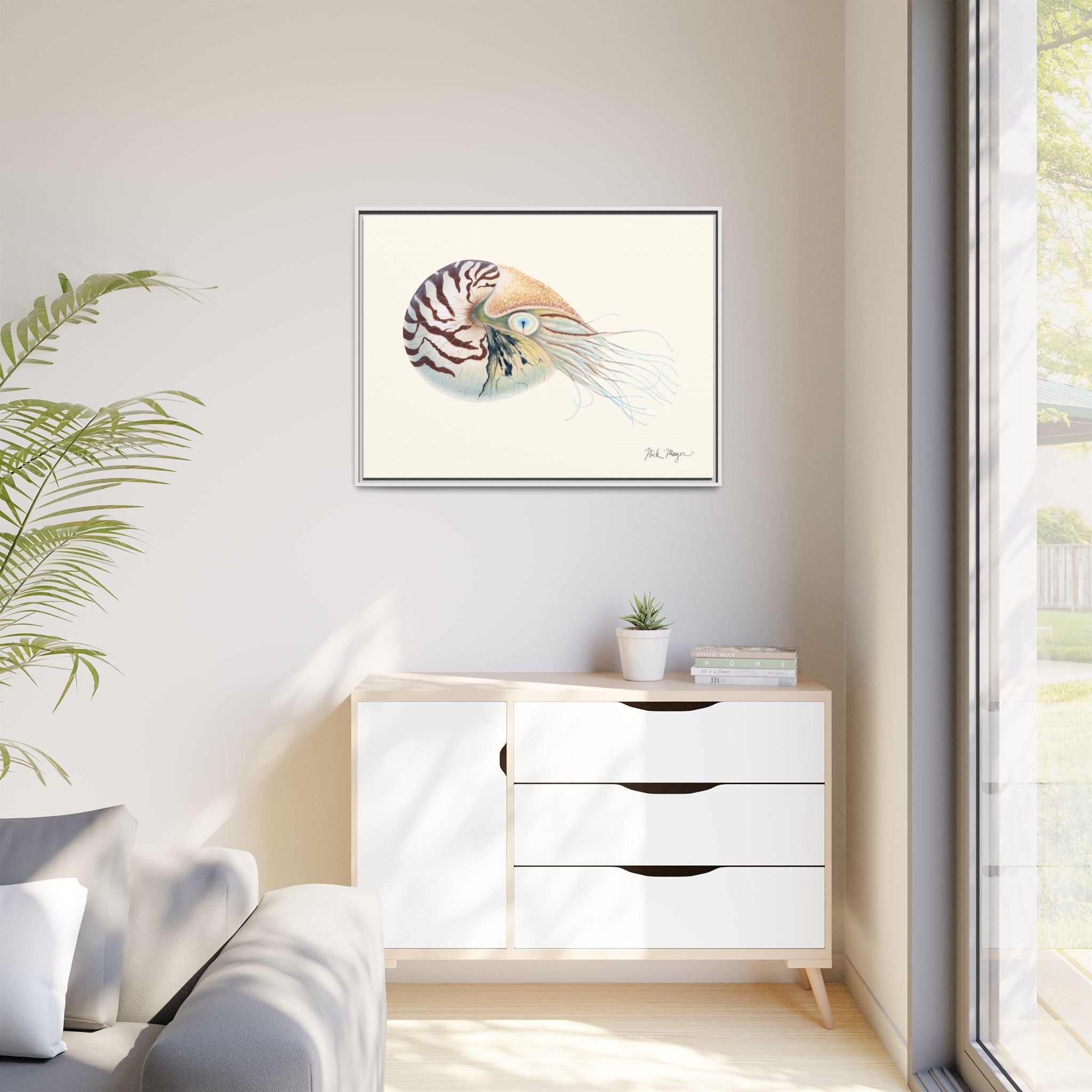 Chambered Nautilus Framed Canvas Print Printify