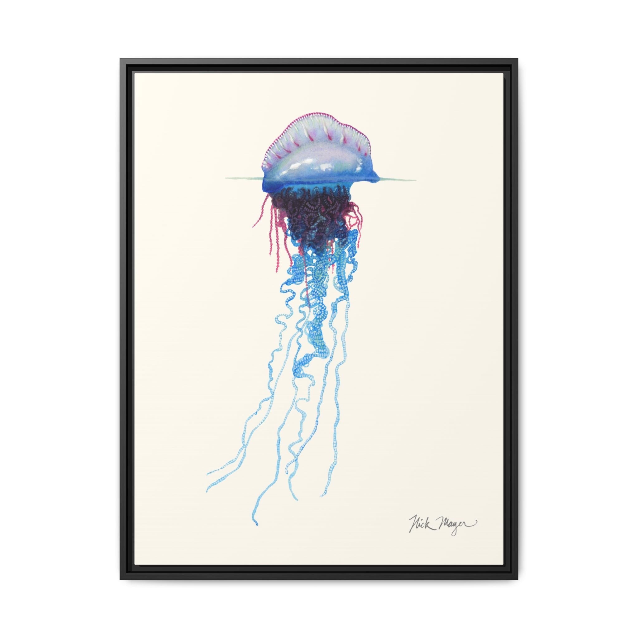 Portuguese Man O' War Framed Canvas Print Printify