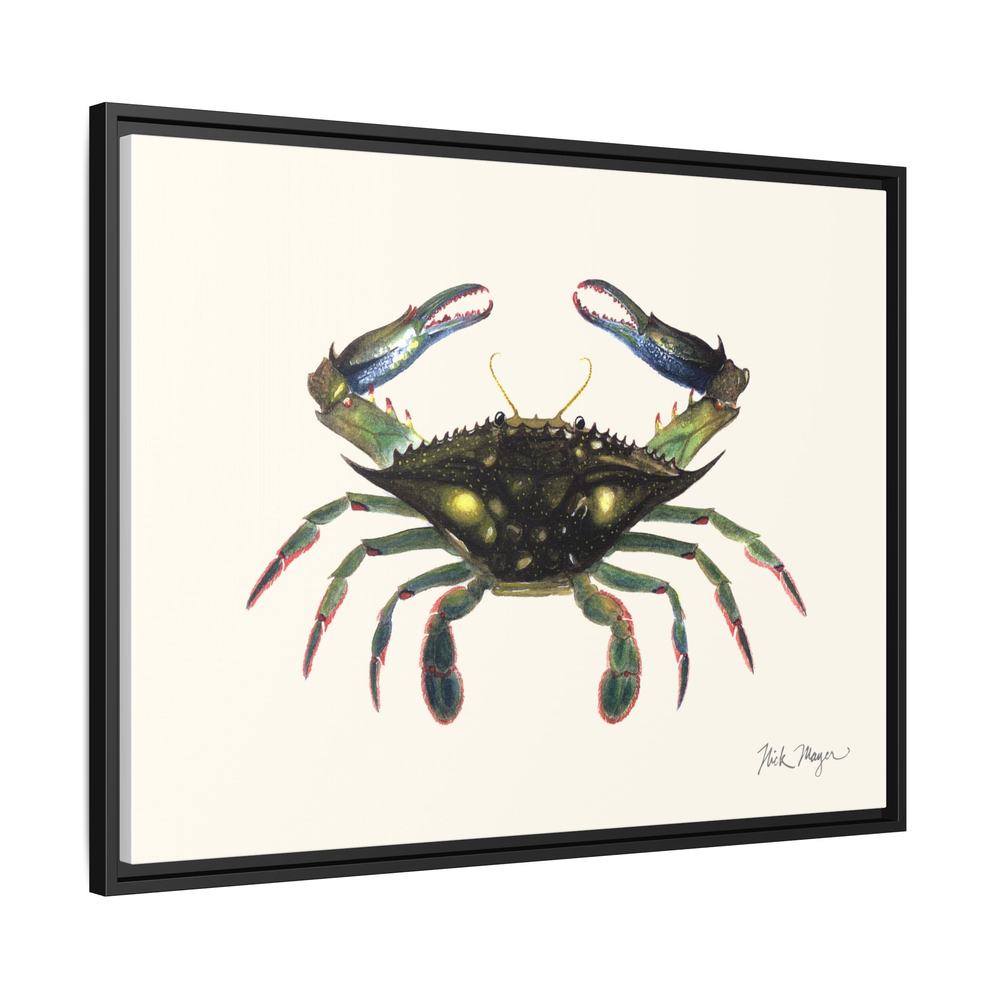 Blue Crab, Claws in Framed Canvas Print Printify