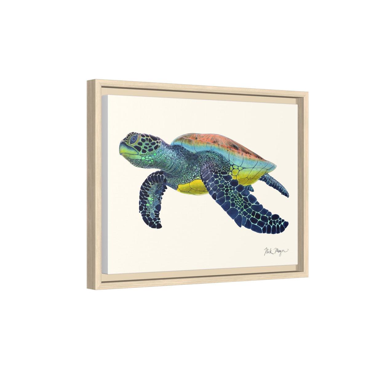 Green Sea Turtle II Framed Canvas Print Printify